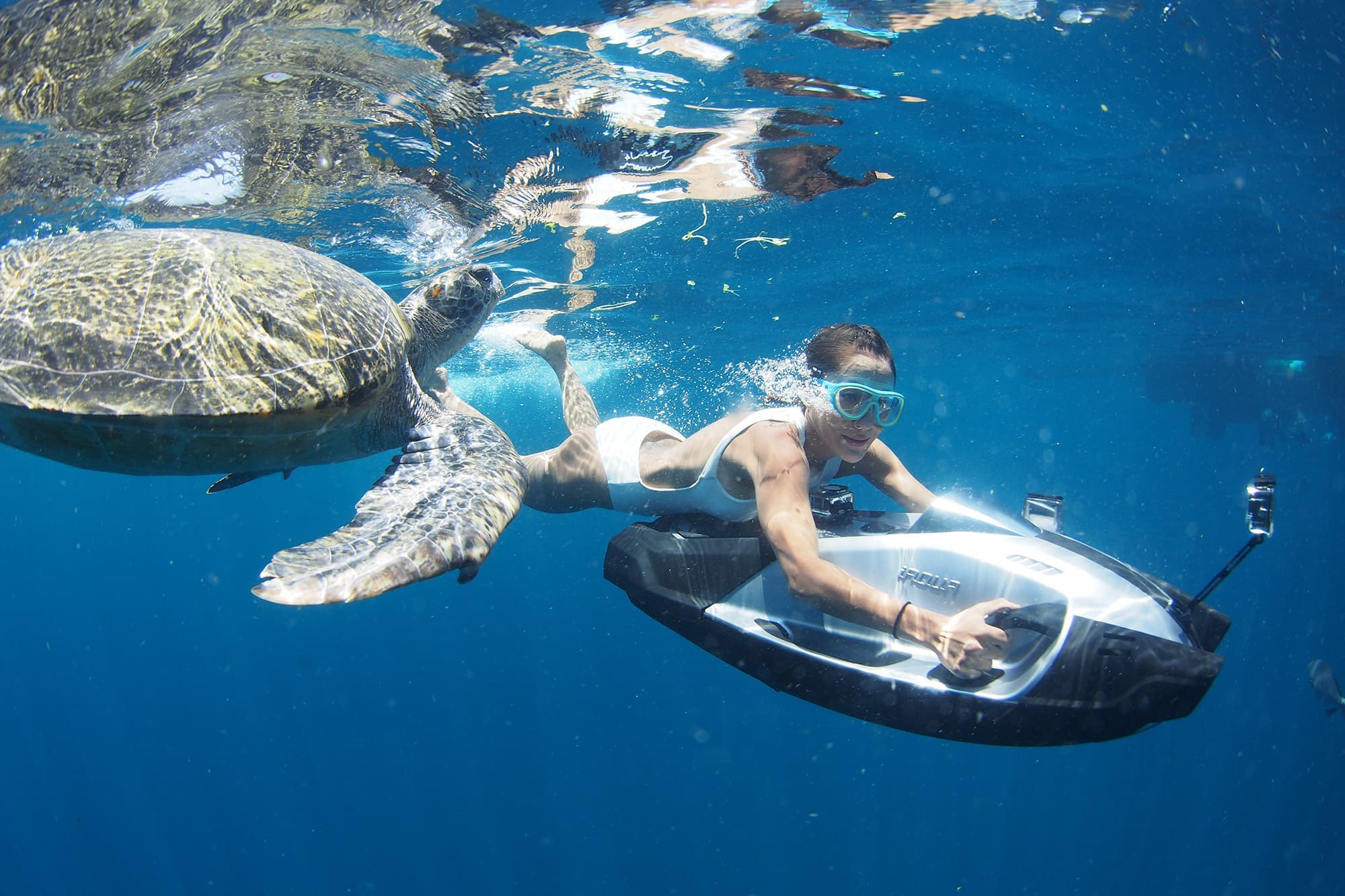 Mulher e tartaruga marinha explorando o mar
